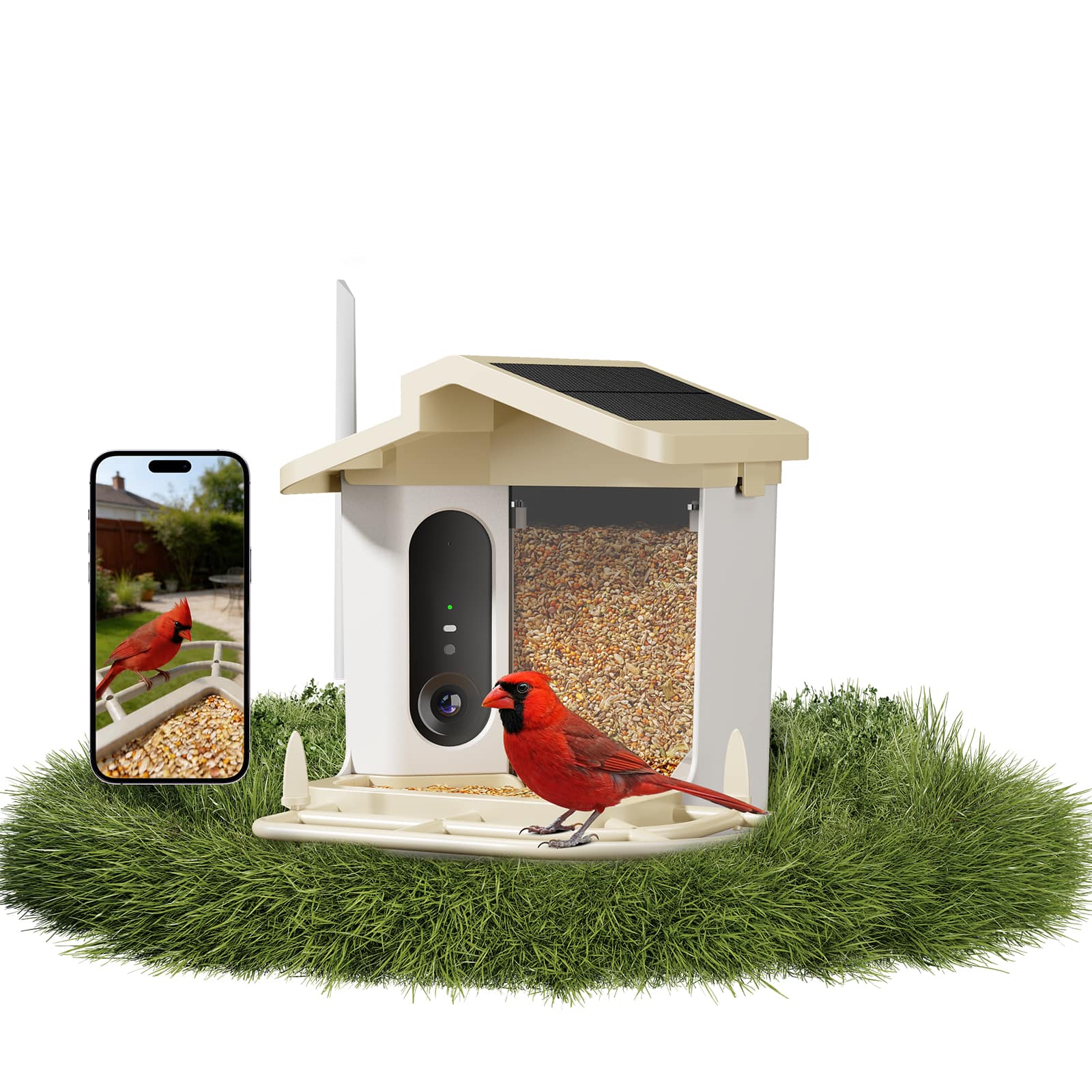 Thymix - Smart Bird Feeder with Camera, 4K Night Vision, AI Bird ID, Low Food Alert, Solar Panel, Squirrel Deterrent - Khaki price history on PriceWatchPro