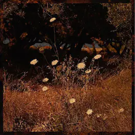 Szun Waves - Earth Patterns - VINYL LP