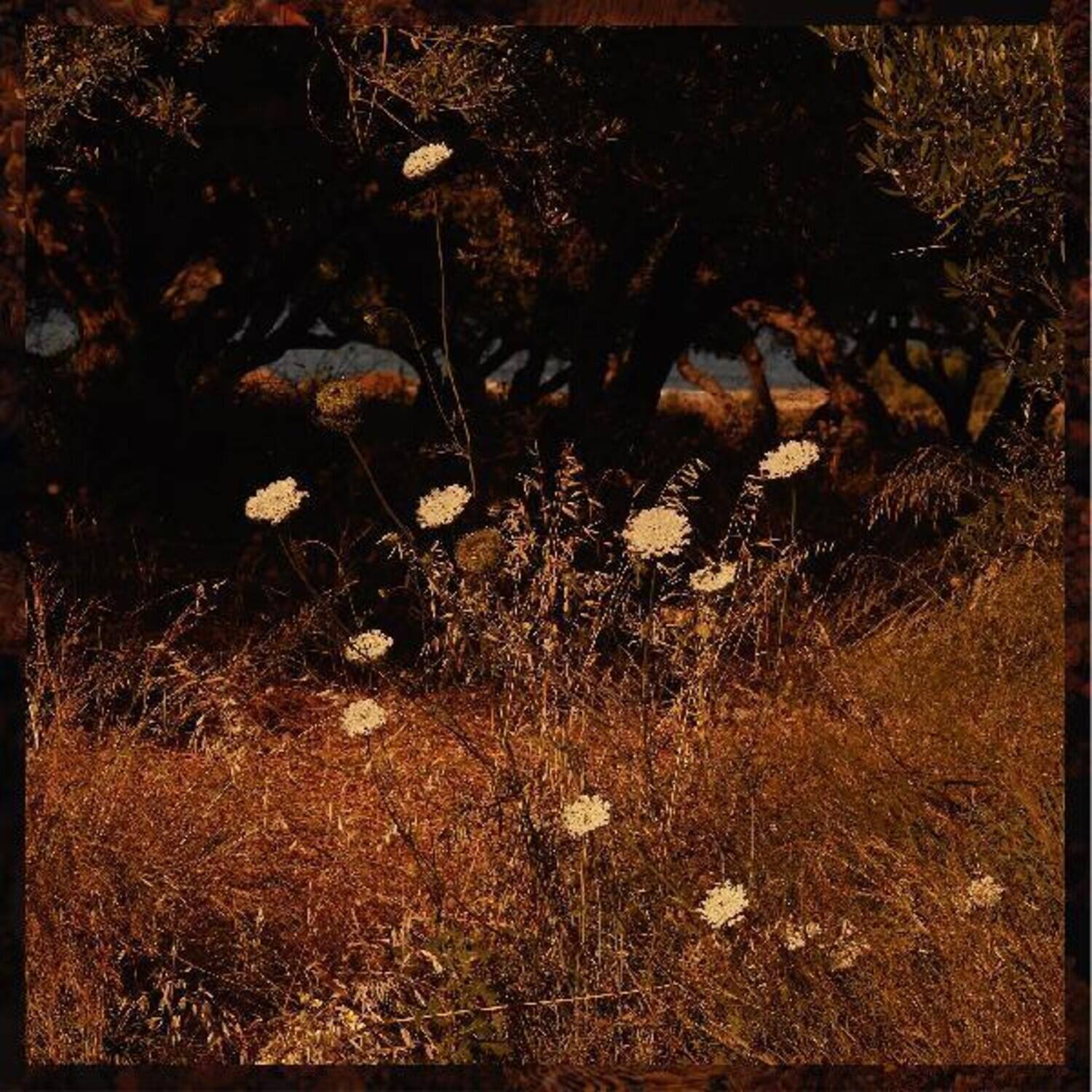 Front. Szun Waves - Earth Patterns   - VINYL LP.