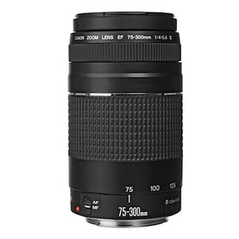 EF 75 300mm f/4 5.6 III Lens Accessory Kit for Canon T3i T2i T1i EF 75 300mm f/4 5.6 III Lens Accessory Kit for Canon T3i T2i T1i