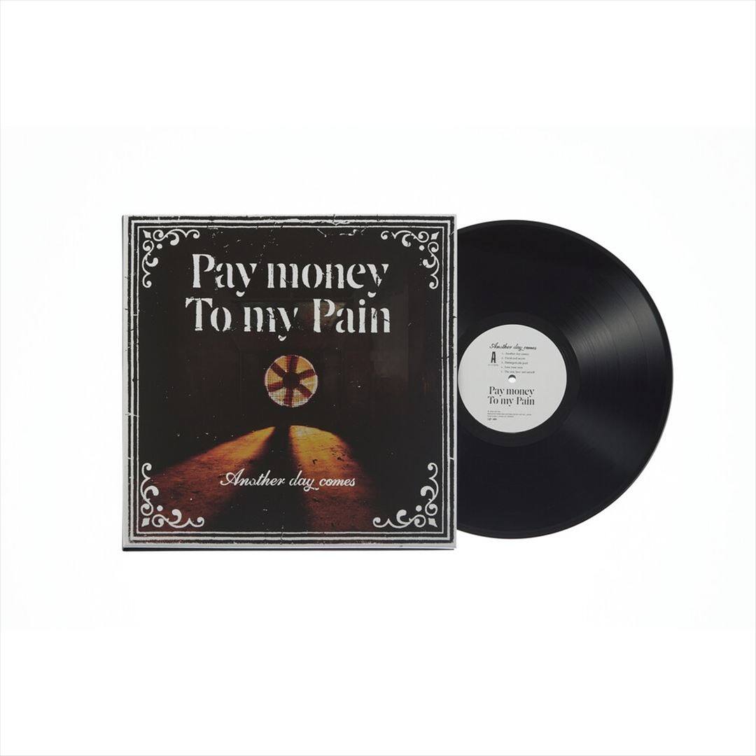 Another Day Comes [LP] [VINYL] price history on PriceWatchPro