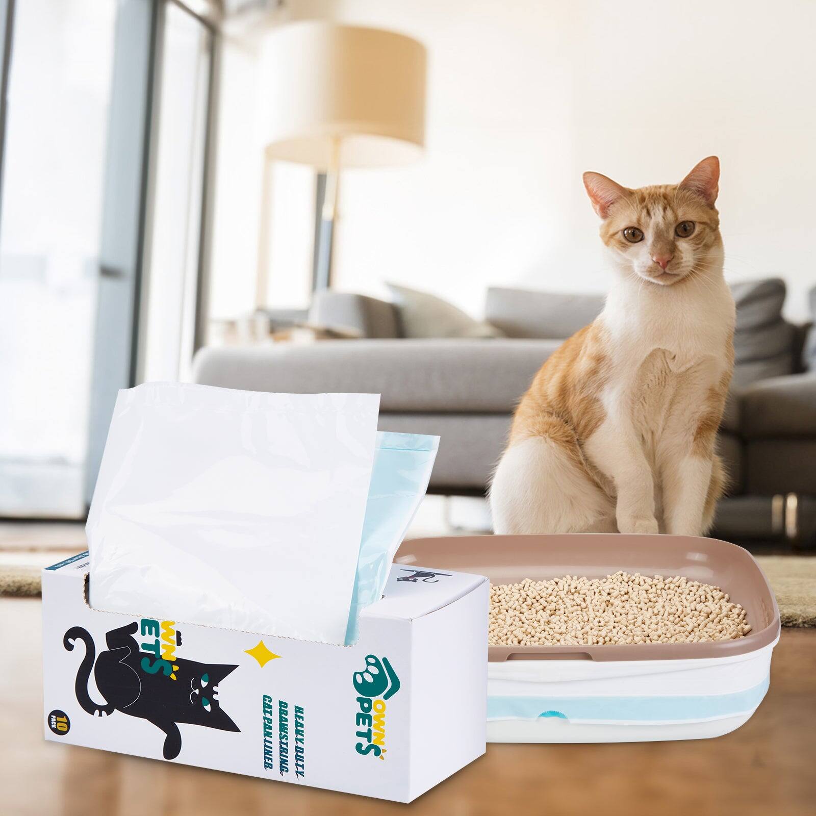 Sure, here is the corrected and grouped text from the image:

**Box:**
- "ETS"
- "WIN"
- "CAT PANLINER"
- "HEAVY DUTY"
- "CAT PANLINER"
- "HEAVY DUTY"
- "PETS OWN"

**Additional Text:**
- "25" (on the box)