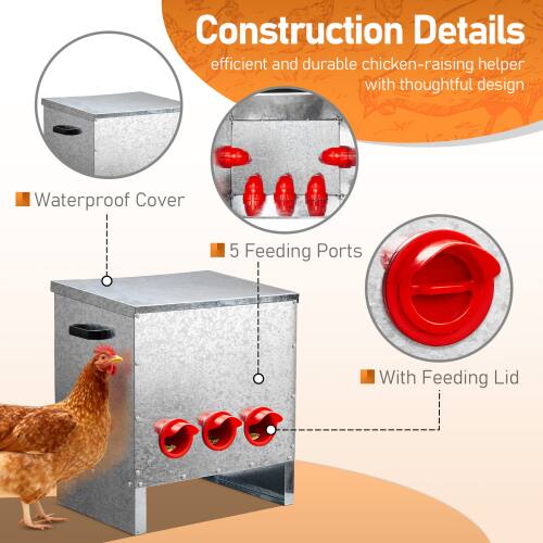 Construction Details  
efficient and durable chicken-raising helper with thoughtful design  
- Waterproof Cover  
- 5 Feeding Ports  
- With Feeding Lid