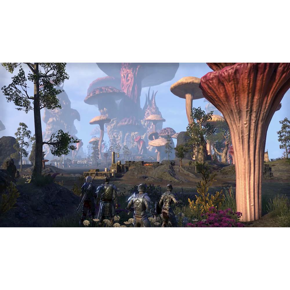 Ekstrem Forespørgsel Godkendelse Best Buy: The Elder Scrolls Online: Morrowind Standard Edition PlayStation  4 ELOX1AP4PENA