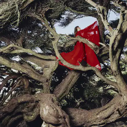 Front. Hannah Frances - Nested In Tangles - VINYL LP.