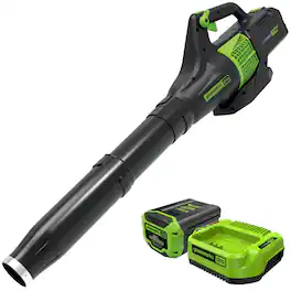 Greenworks - 60V 450 CFM at 125 Mph Cordless Leaf Blower with 2.0Ah Battery & Charger 2414402 - Green