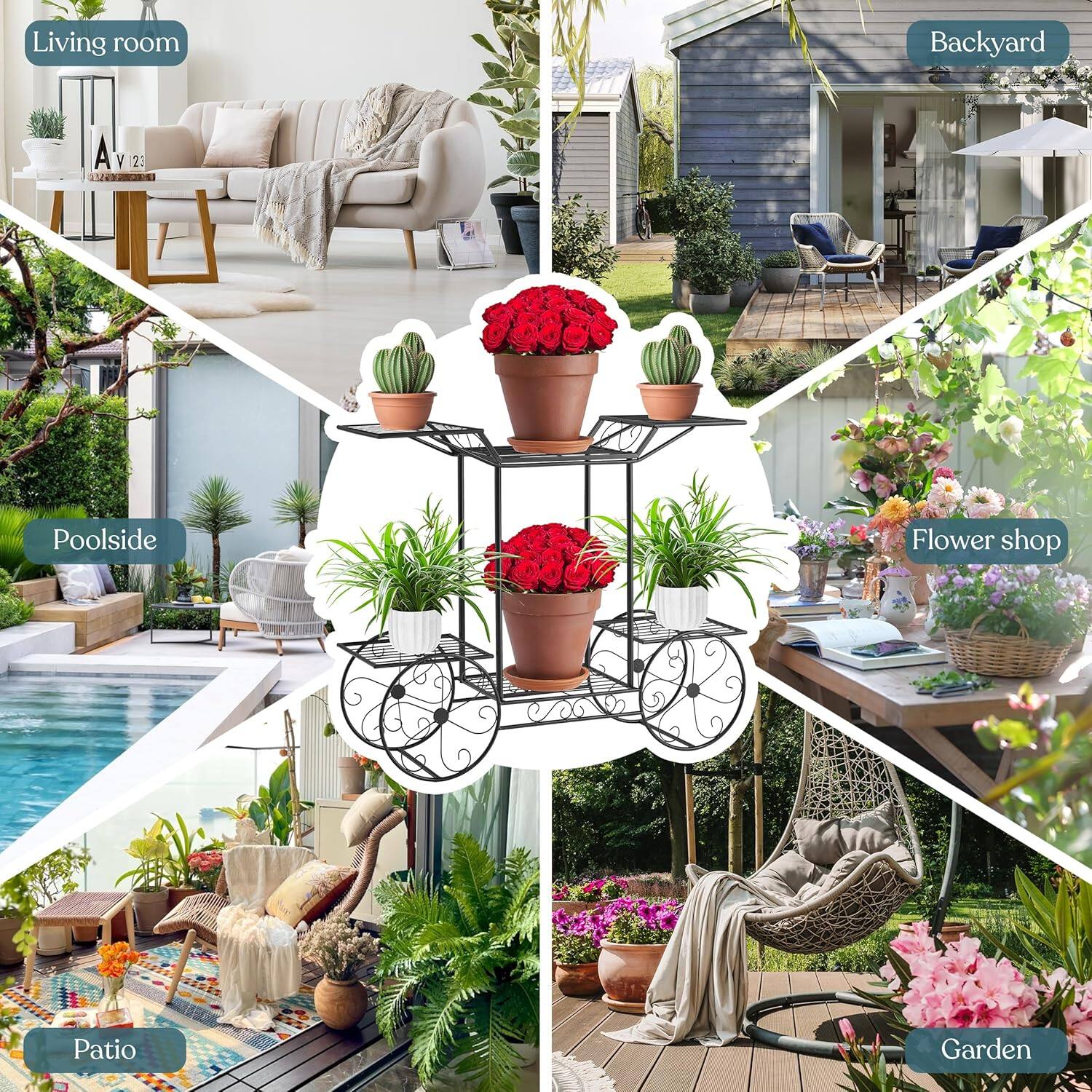 Living room  
Backyard  
Poolside  
Flower shop  
Patio  
Garden