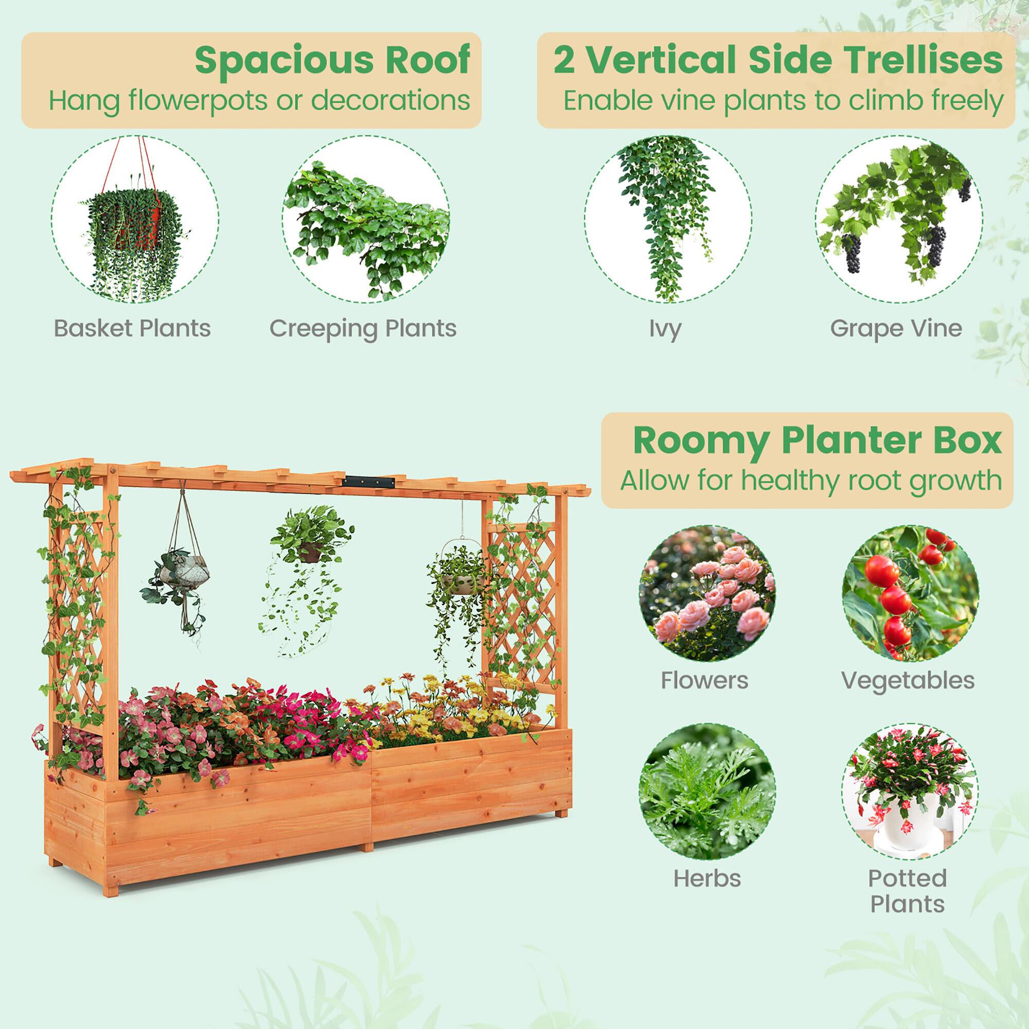 Spacious Roof  
Hang flowerpots or decorations  

2 Vertical Side Trellises  
Enable vine plants to climb freely  

Roomy Planter Box  
Allow for healthy root growth  

Basket Plants  
Creeping Plants  
Ivy  
Grape Vine  
Flowers  
Vegetables  
Herbs  
Potted Plants