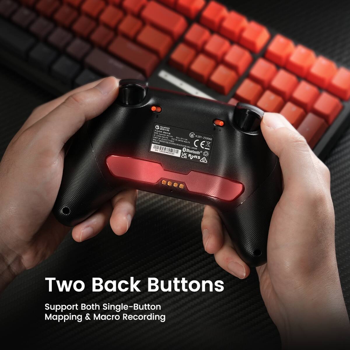 Two Back Buttons  
Support Both Single-Button Mapping & Macro Recording