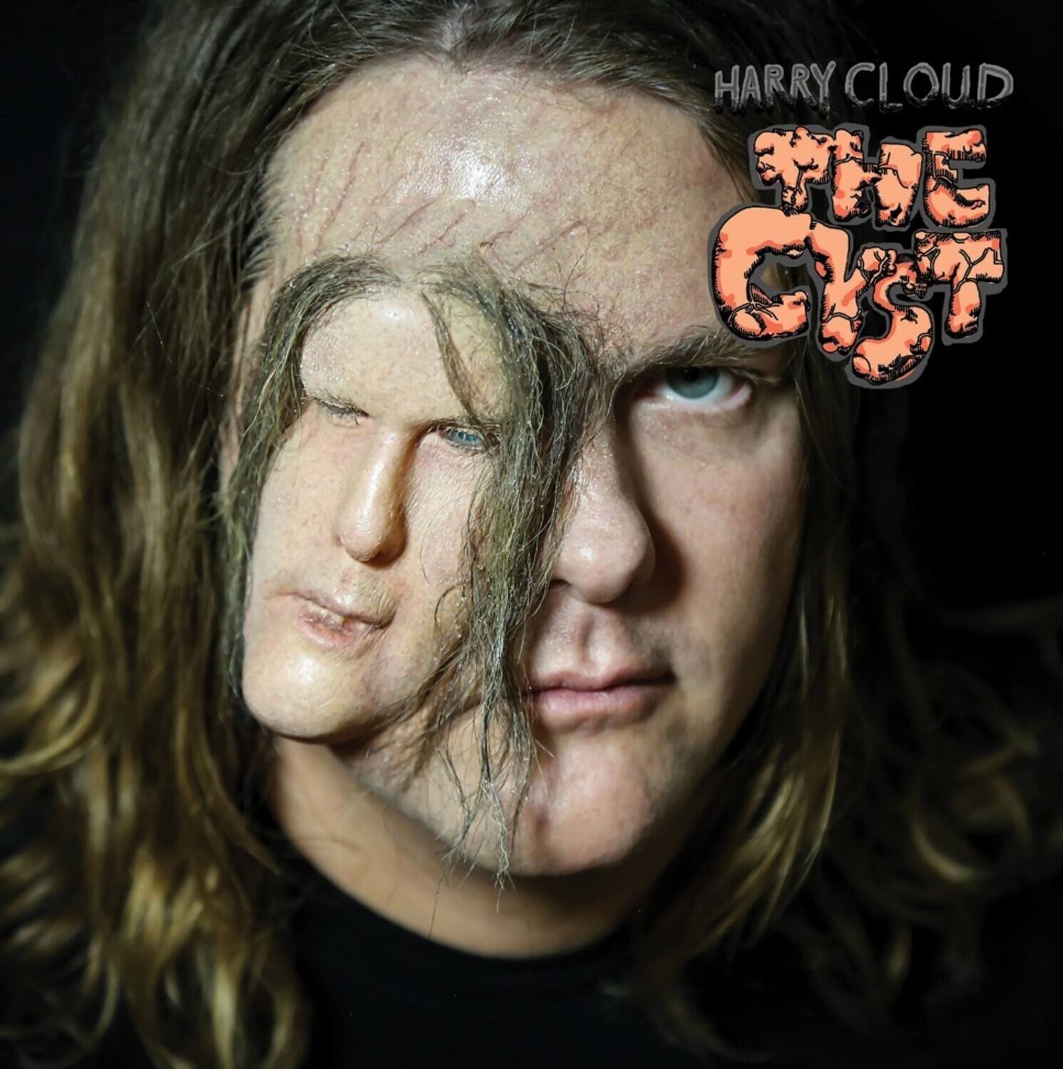 HARRY CLOUD  
THE GHOST