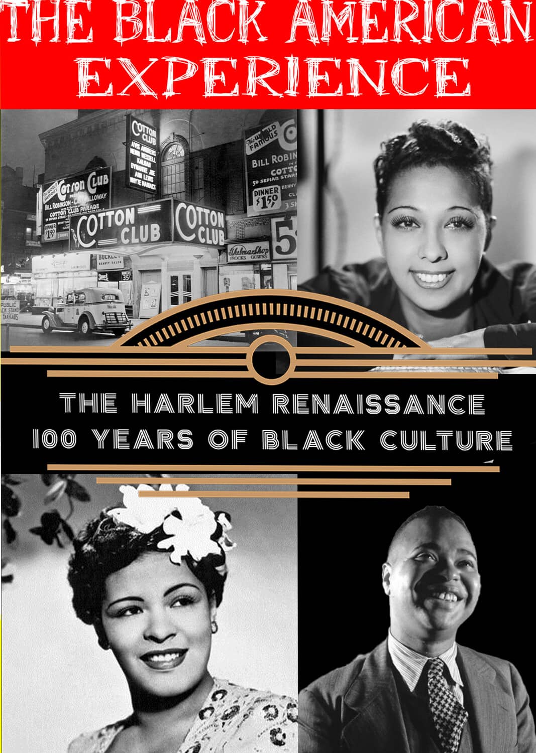The Harlem Renaissance - ?100 years of Black Culture  - DVD