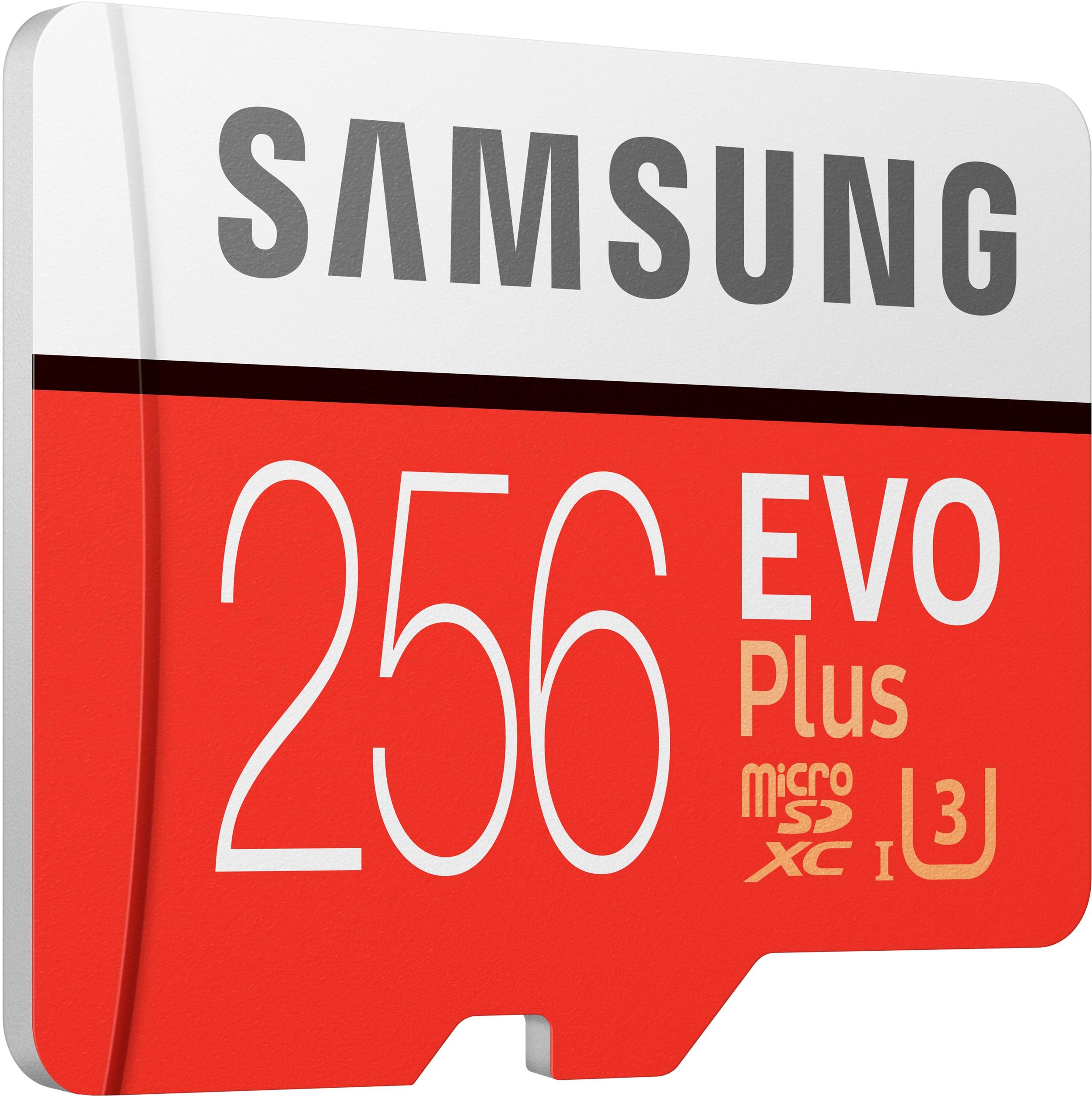 Gecomprimeerd Ontwarren Beneden afronden Best Buy: Samsung EVO Plus 256GB microSDXC UHS-I Memory Card MB-MC256GA/AM