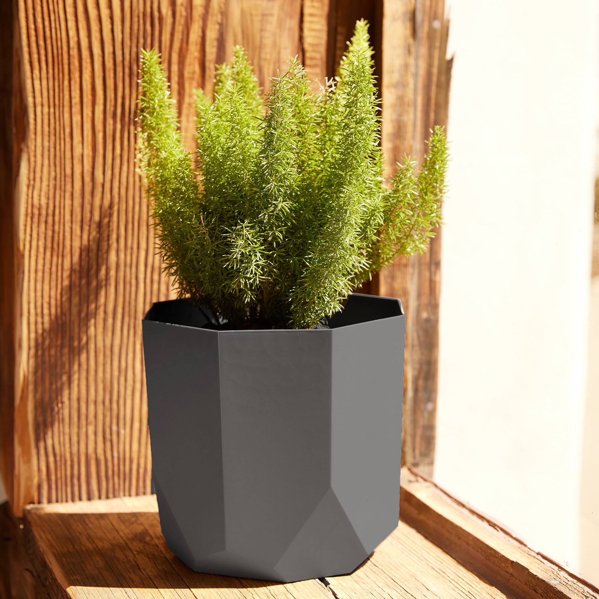 Alt View 3. Bloem - Charcoal 8" - Tuxton Pot Planter.