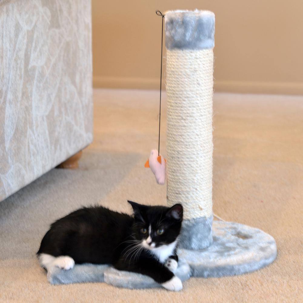 Back. Armarkat - Mouse Shape Real Wood Cat Scratcher Toy Sisal Scratching PostKitty Training - Gray.