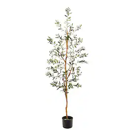BreeBe - 5.5' Olive Artificial Tree with 690 Leaves - Green