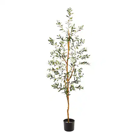 Front. BreeBe - 5.5' Olive Artificial Tree with 690 Leaves - Green.