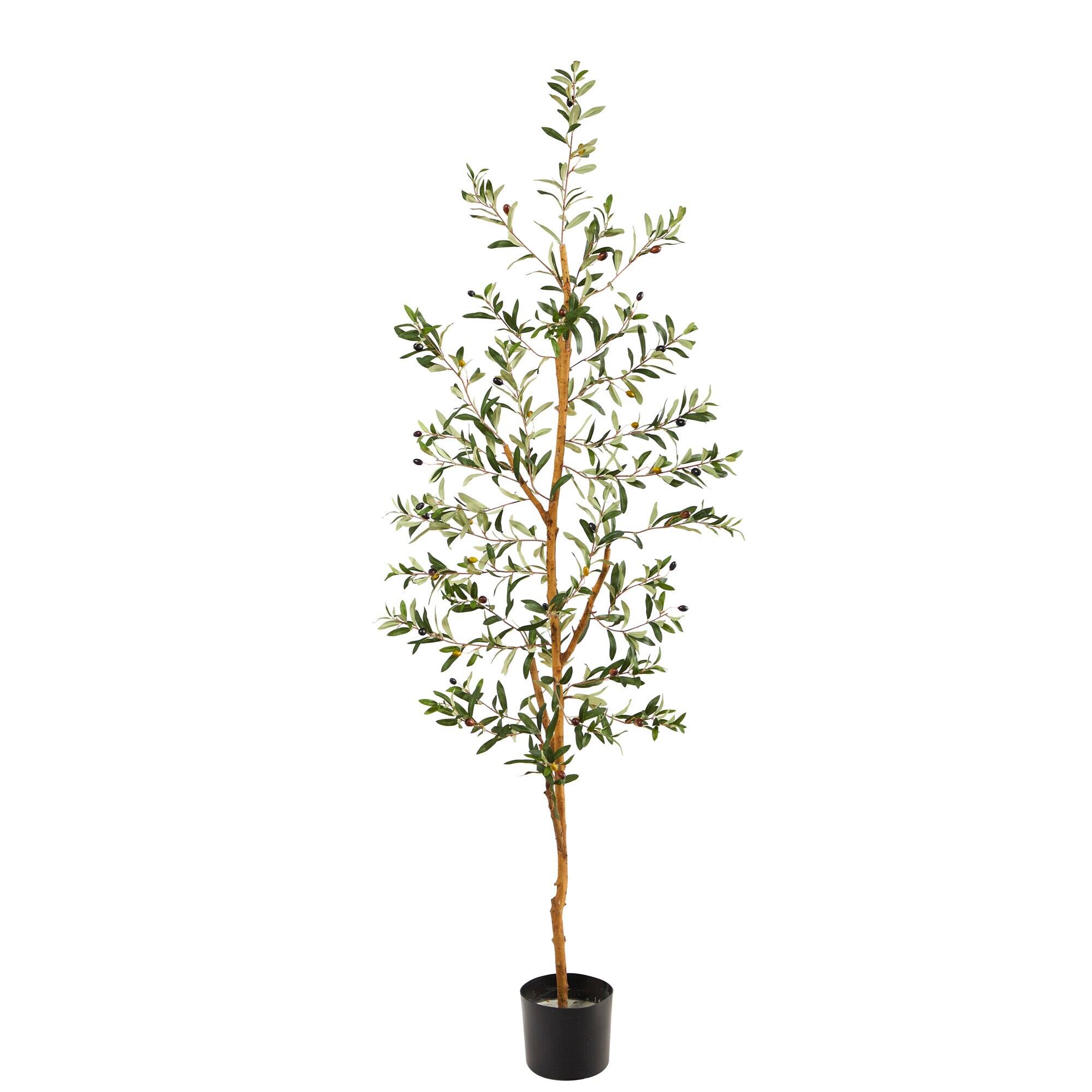 Front. BreeBe - 5.5' Olive Artificial Tree with 690 Leaves - Green.