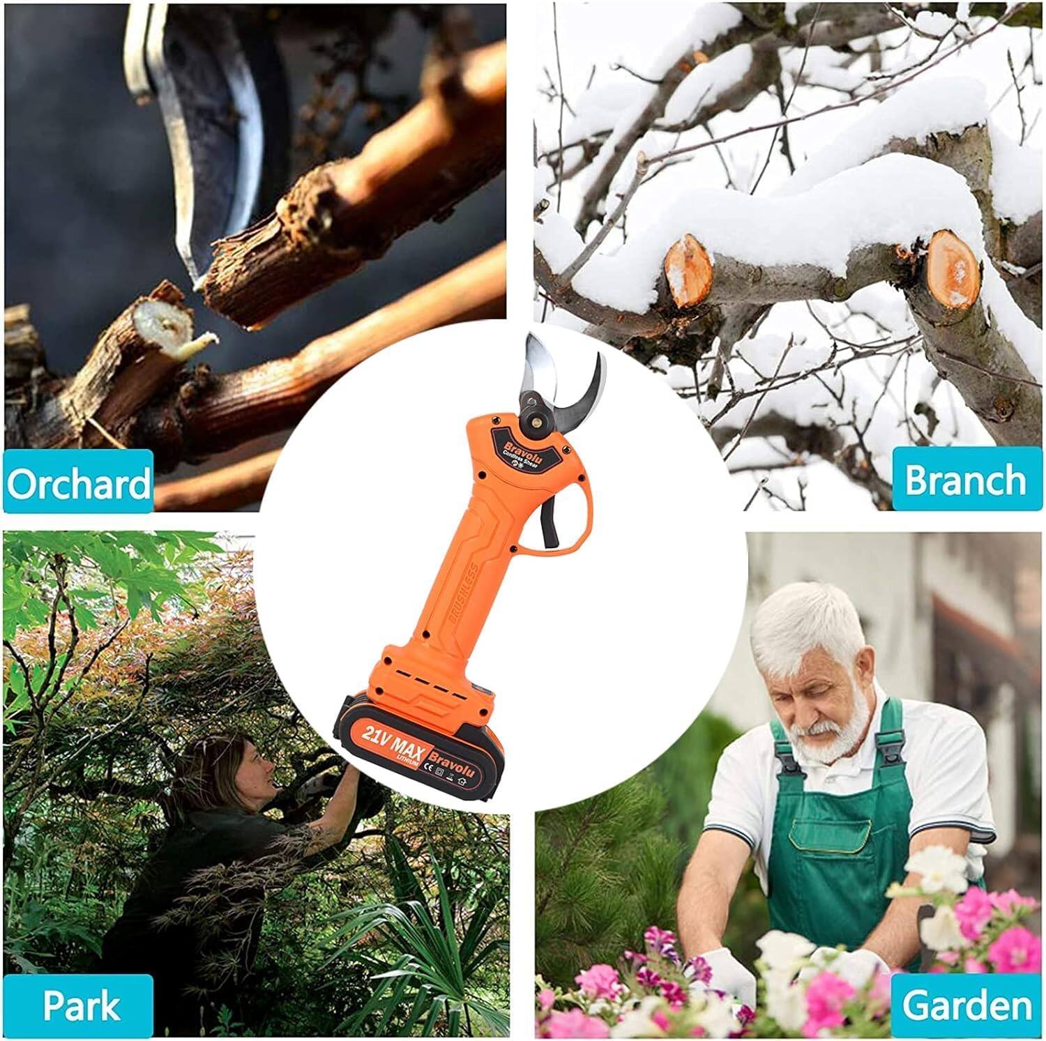 Orchard  
Branch  
Park  
Garden  

21V MAX  
Bravoli