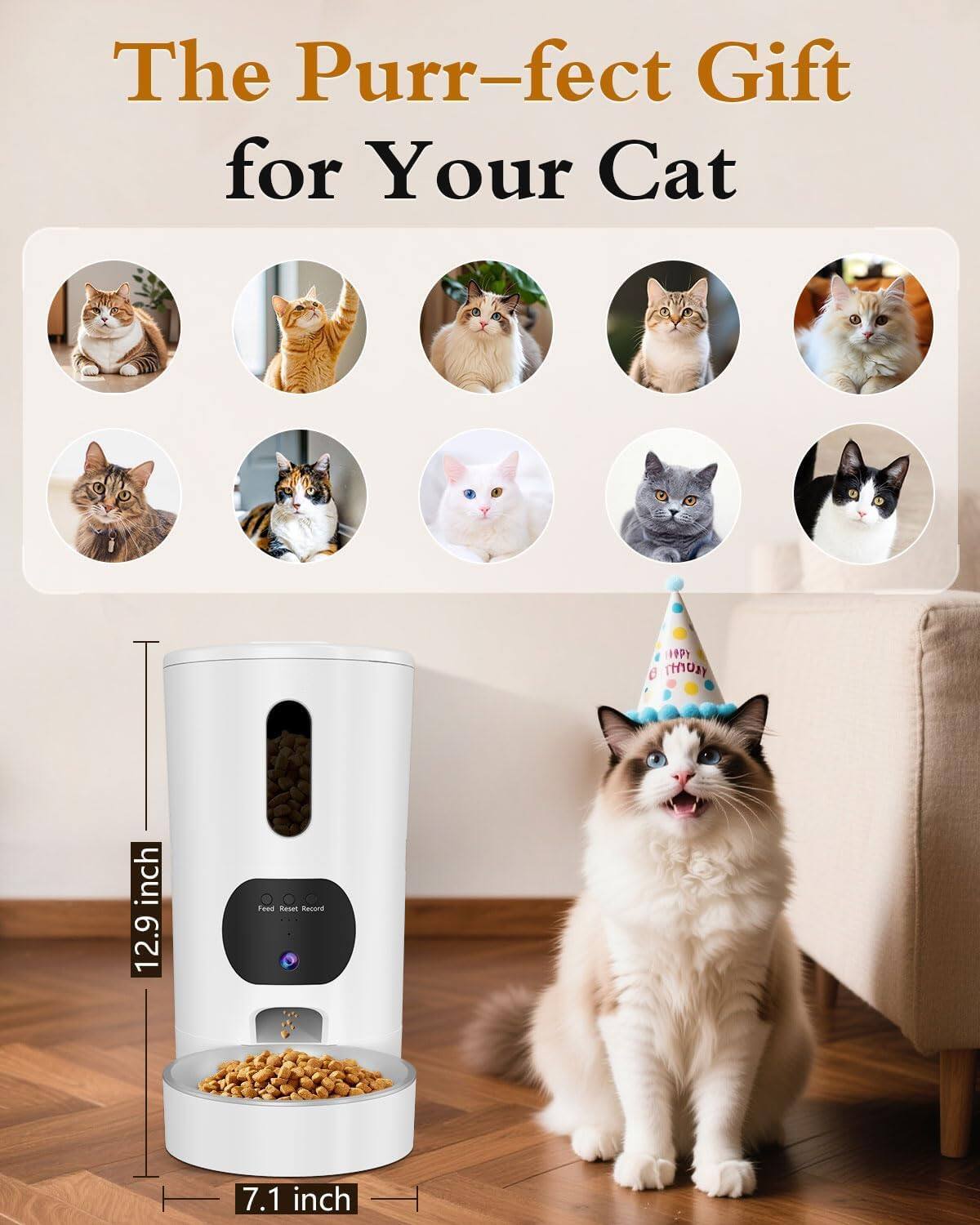 The Purr-fect Gift for Your Cat

12.9 inch

7.1 inch