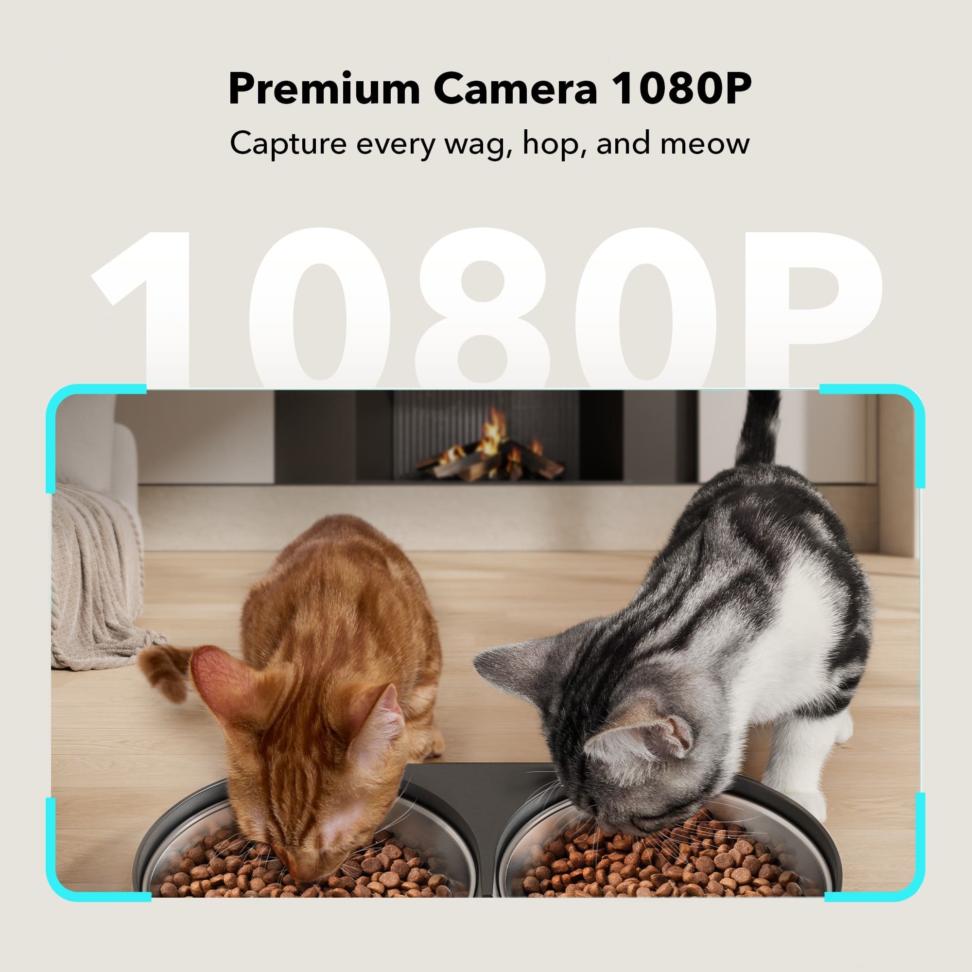 Premium Camera 1080P Capture every wag, hop, and meow.