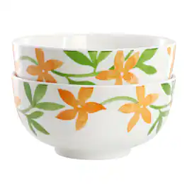 Gibson - Home Surrey Hill 2 Piece Fine Ceramic Cereal Bowl Set - Orange Floral