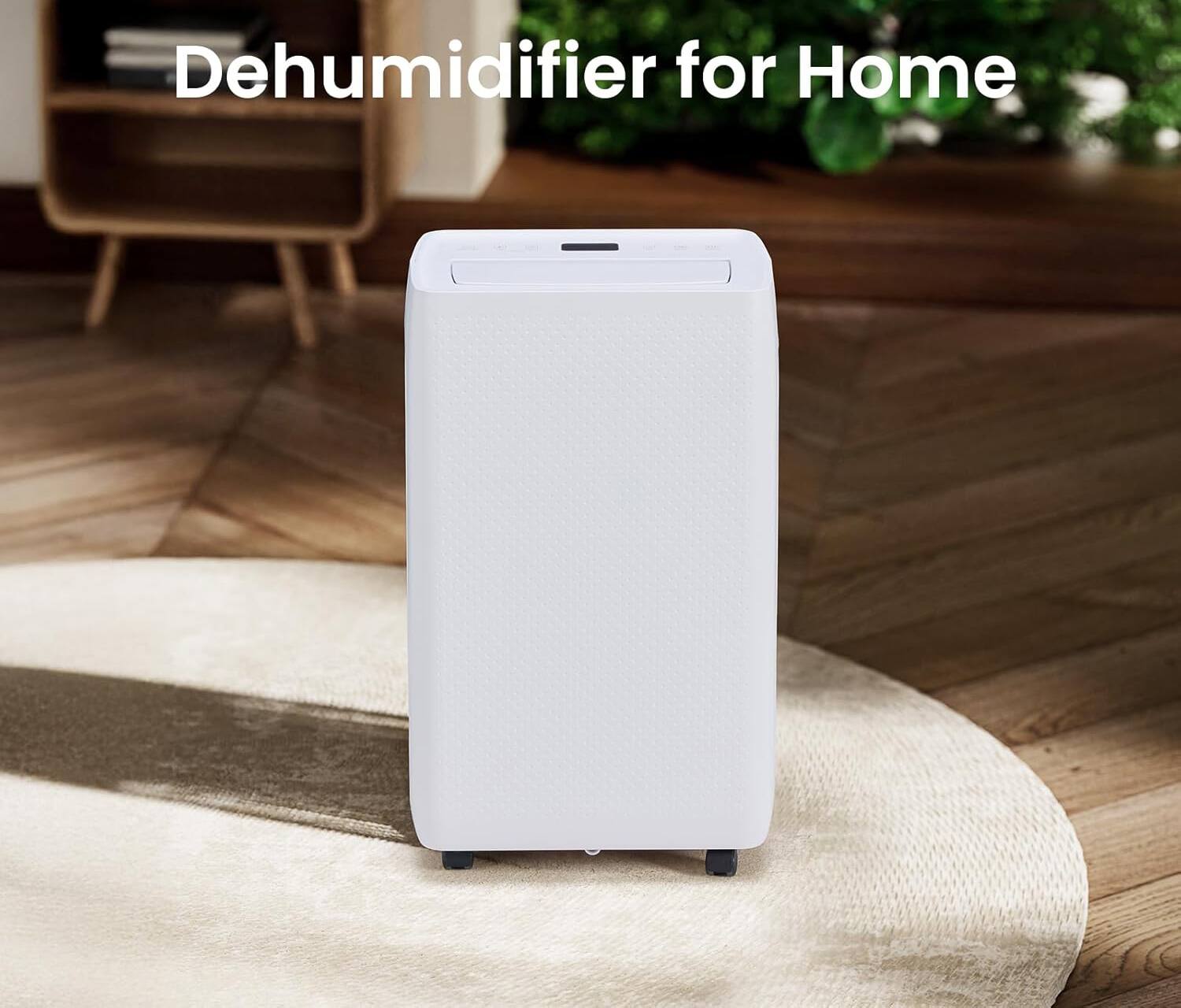 Dehumidifier for Home