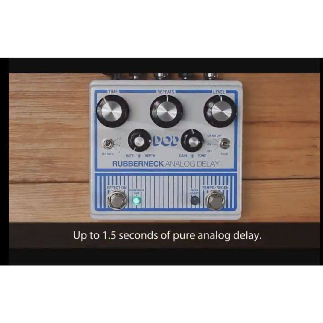 RUBBERNECK ANALOG DELAY

TIME REPEATS LEVEL GAIN TONE RATE DEPTH TEMPO/REGEN

Up to 1.5 seconds of pure analog delay.