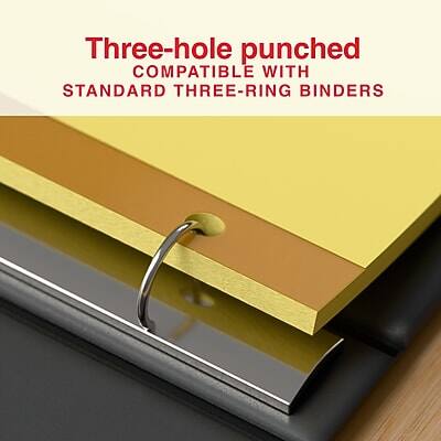 Three-hole punched  
COMPATIBLE WITH  
STANDARD THREE-RING BINDERS