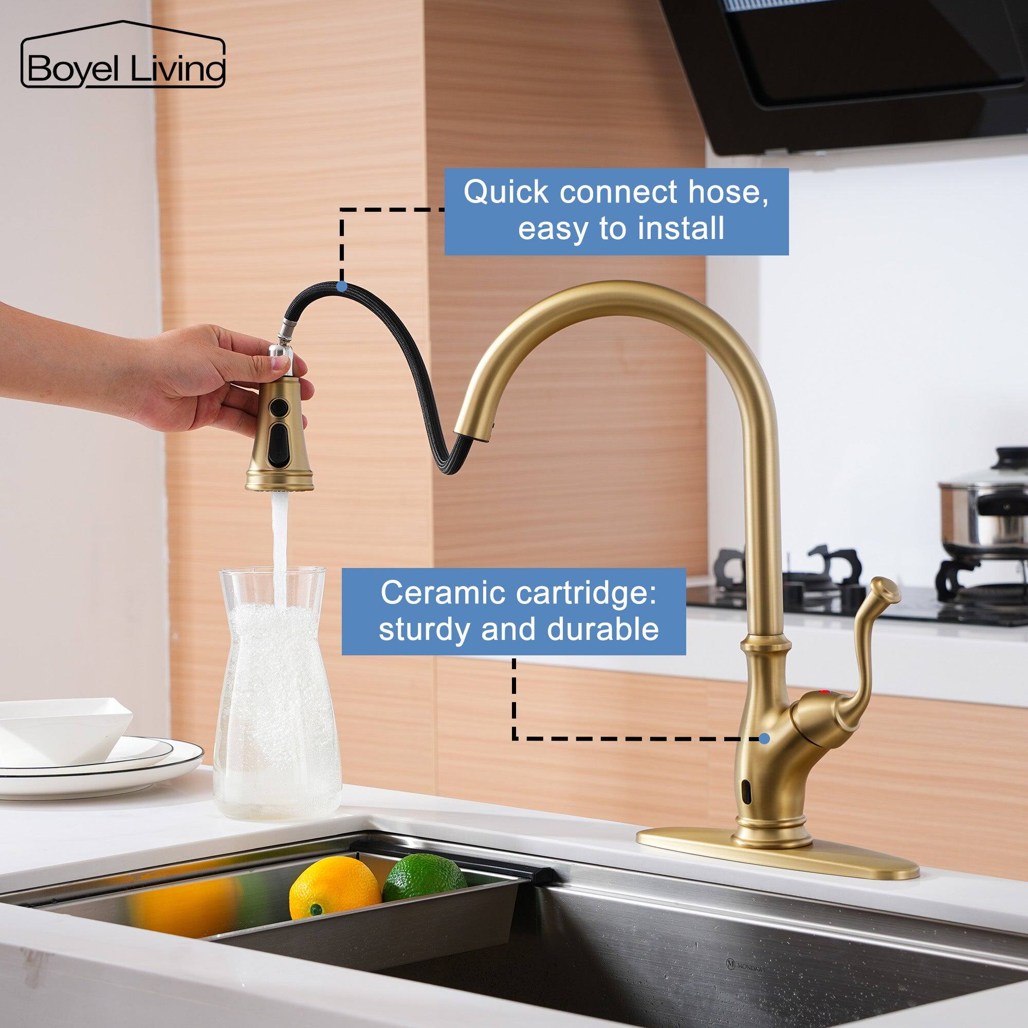 Boyel Livind, Quick connect hose, easy to install, Ceramic cartridge: sturdy and durable