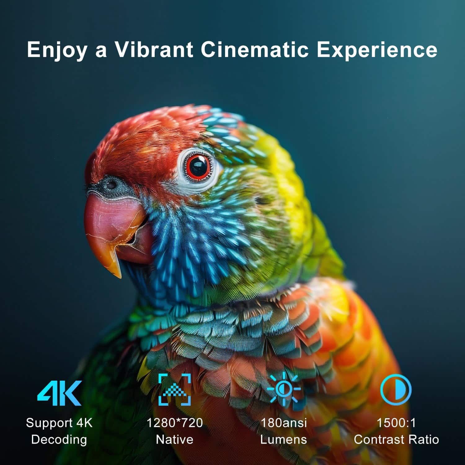Enjoy a Vibrant Cinematic Experience
- Support 4K Decoding
- 1280*720 Native
- 180ansi Lumens
- 1500:1 Contrast Ratio