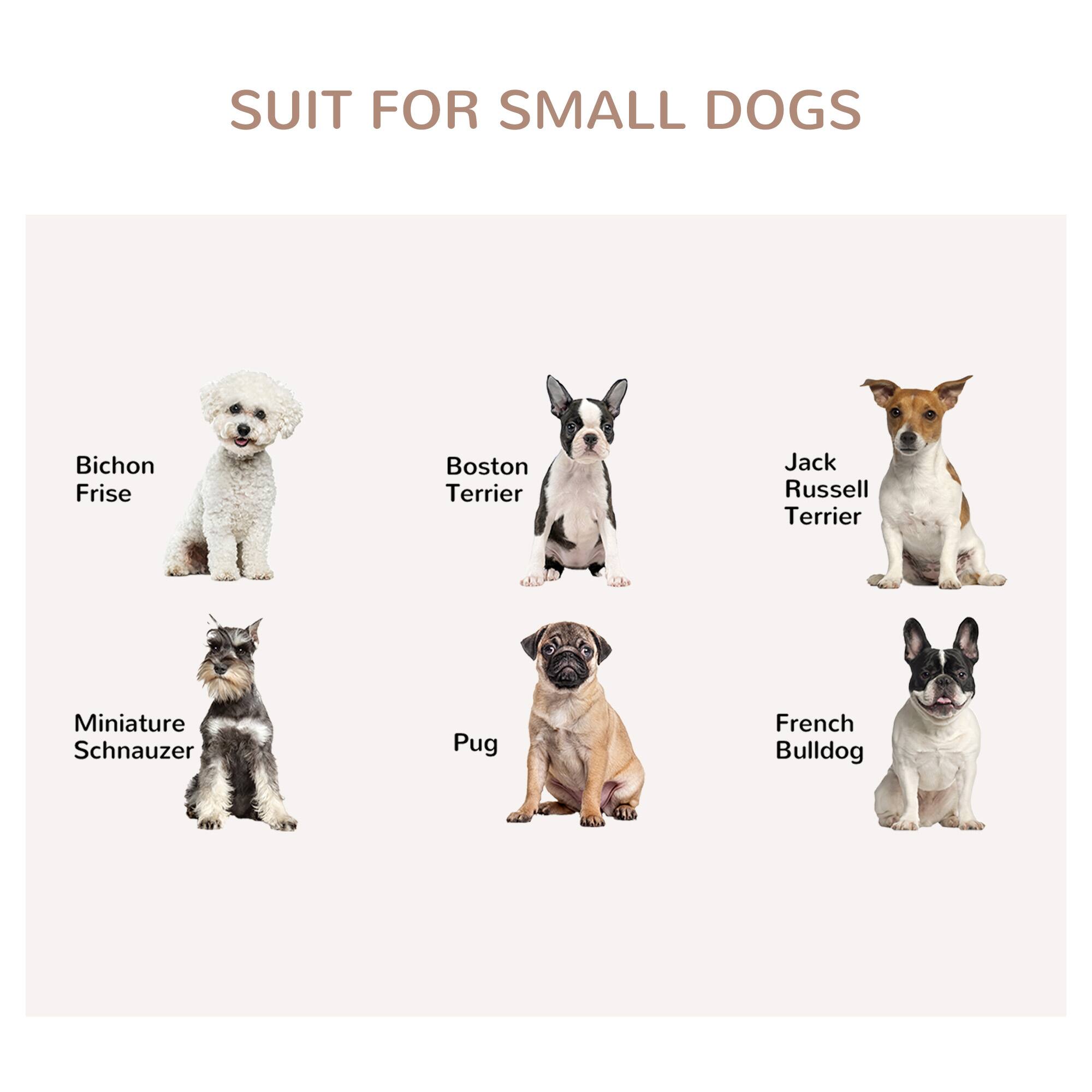 SUIT FOR SMALL DOGS

- Bichon Frise
- Boston Terrier
- Jack Russell Terrier
- Miniature Schnauzer
- Pug
- French Bulldog