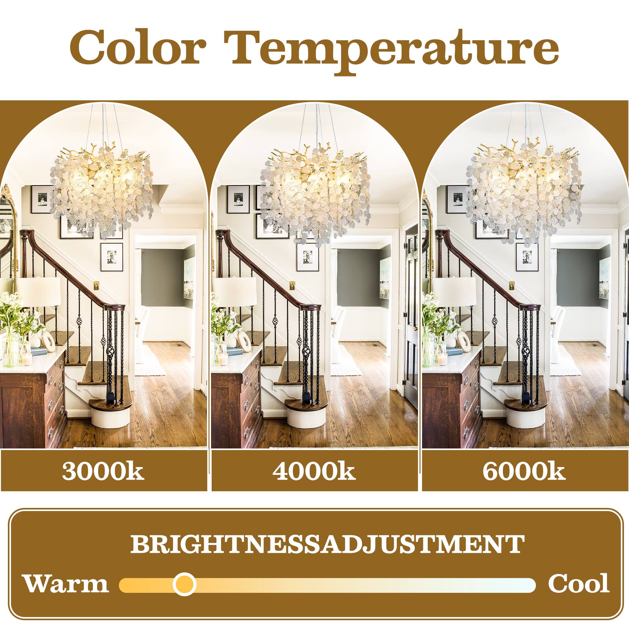 Color Temperature

3000k 4000k 6000k

BRIGHTNESS ADJUSTMENT

Warm Cool