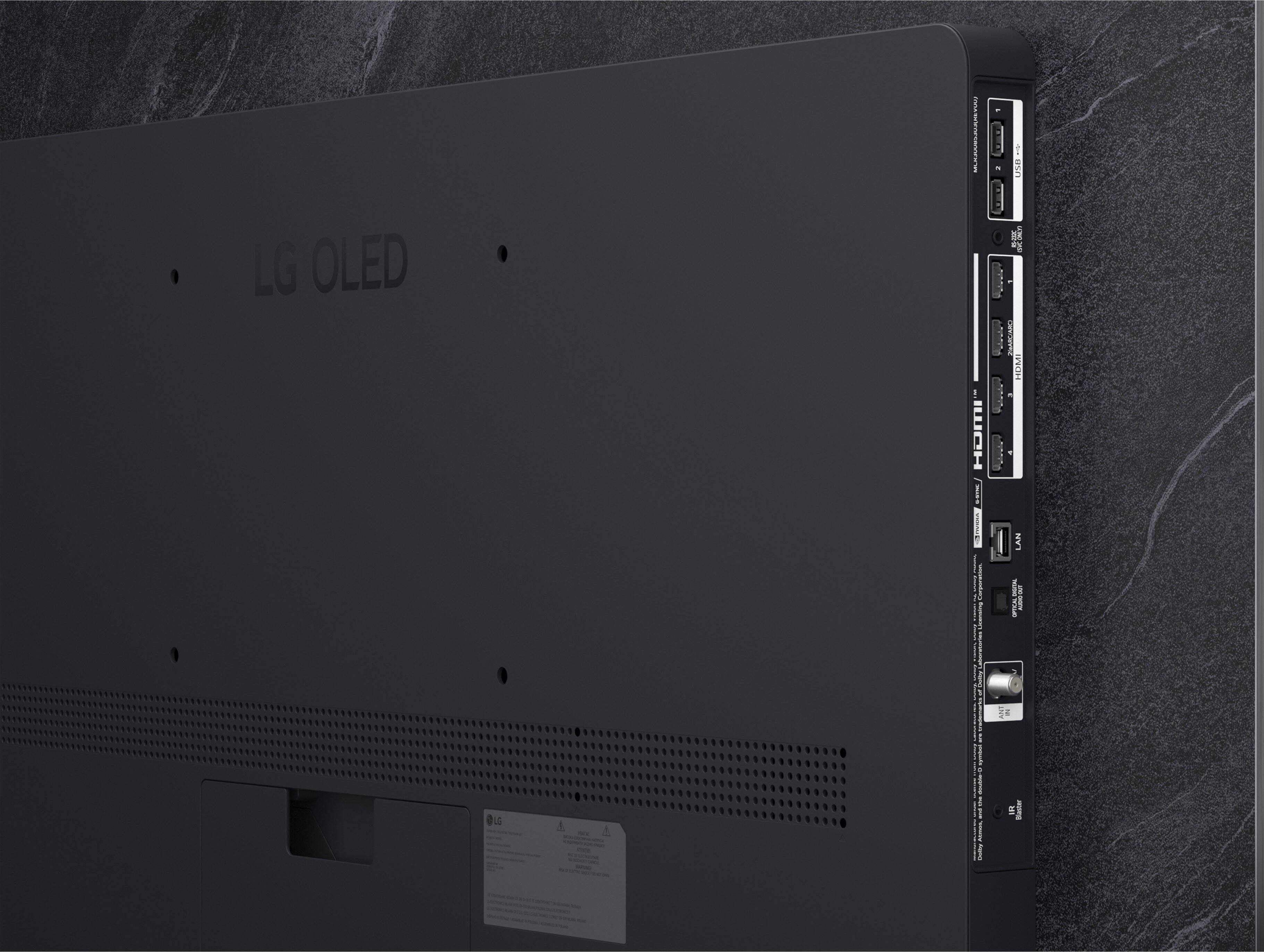 LG OLED  
HOME  
- USELr  
- LAN  
- HDMI  
- USB  
- LAN  
- HDMI  
- USB  
- LAN