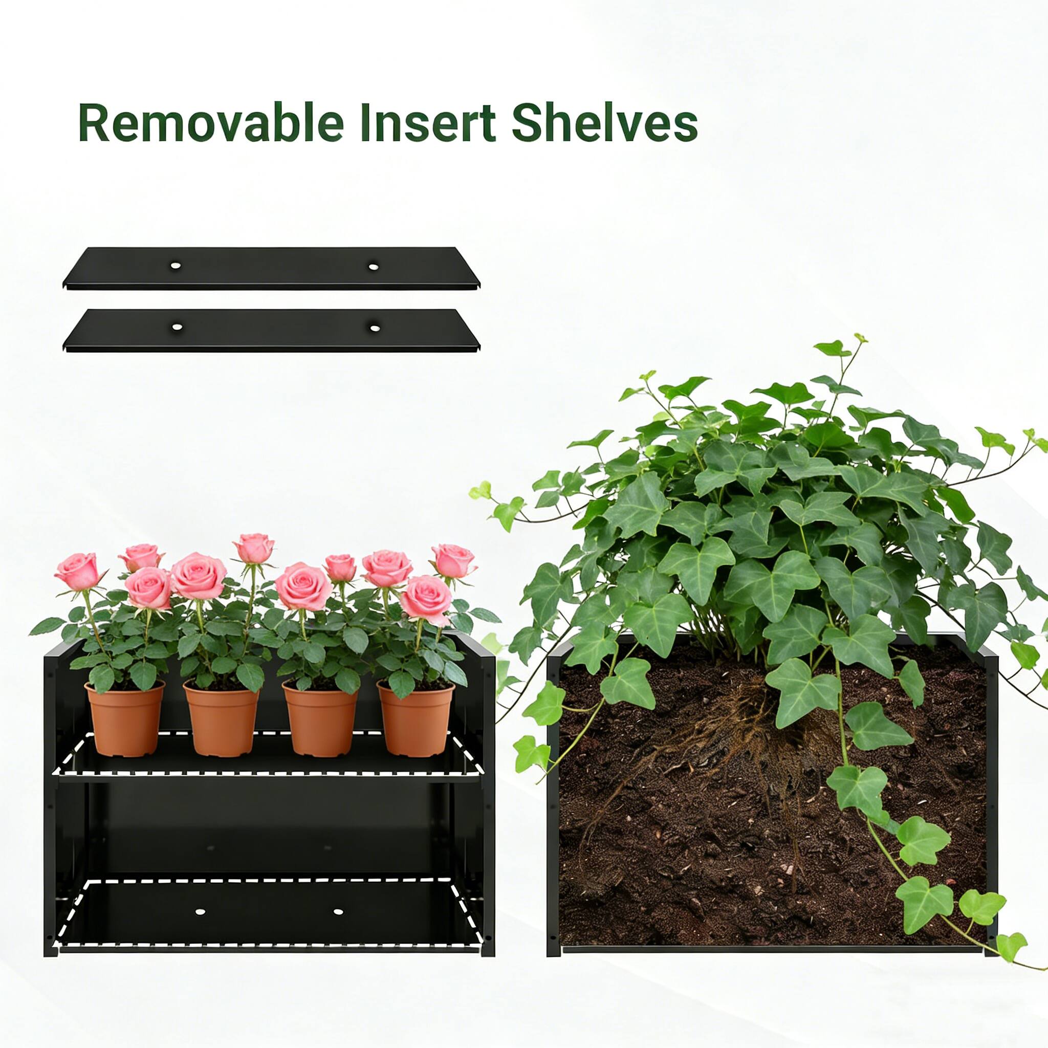 Removable Insert Shelves