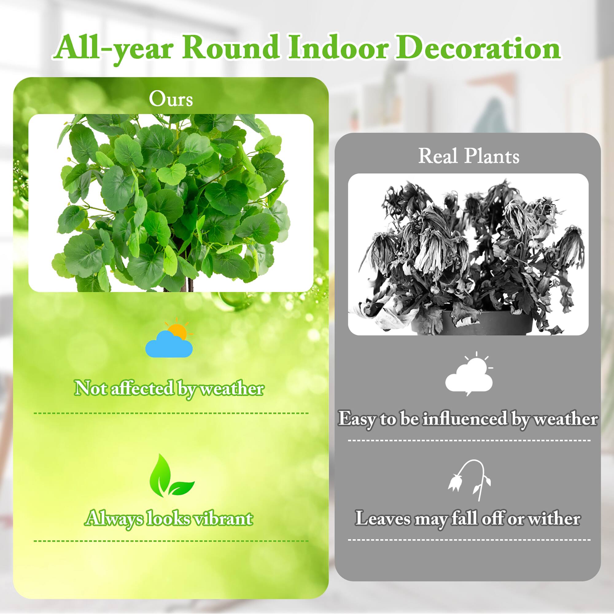 All-year Round Indoor Decoration

Ours
- Not affected by weather
- Always looks vibrant

Real Plants
- Easy to be influenced by weather
- Leaves may fall off or wither