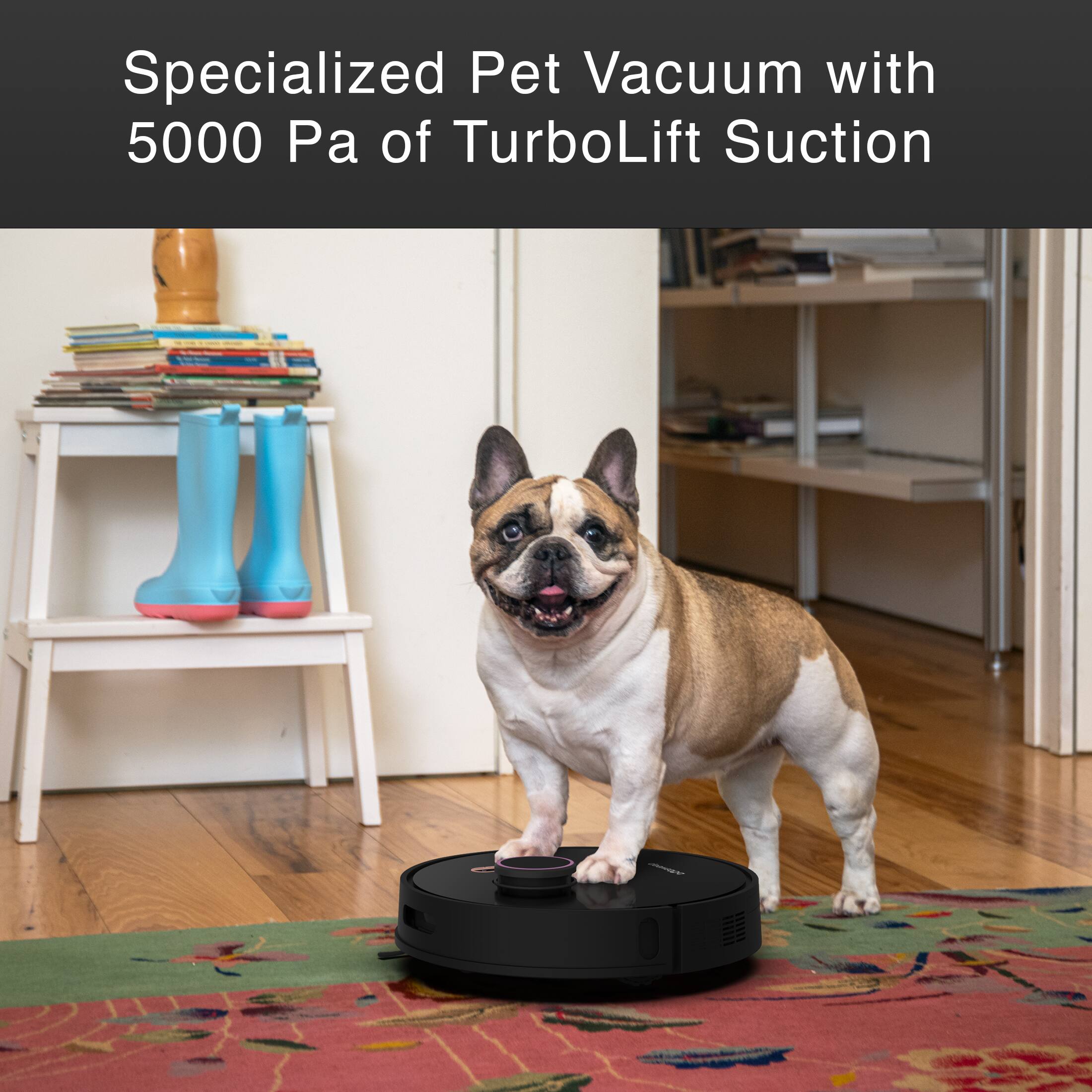 Specialized Pet Vacuum with 5000 Pa of TurboLift Suction