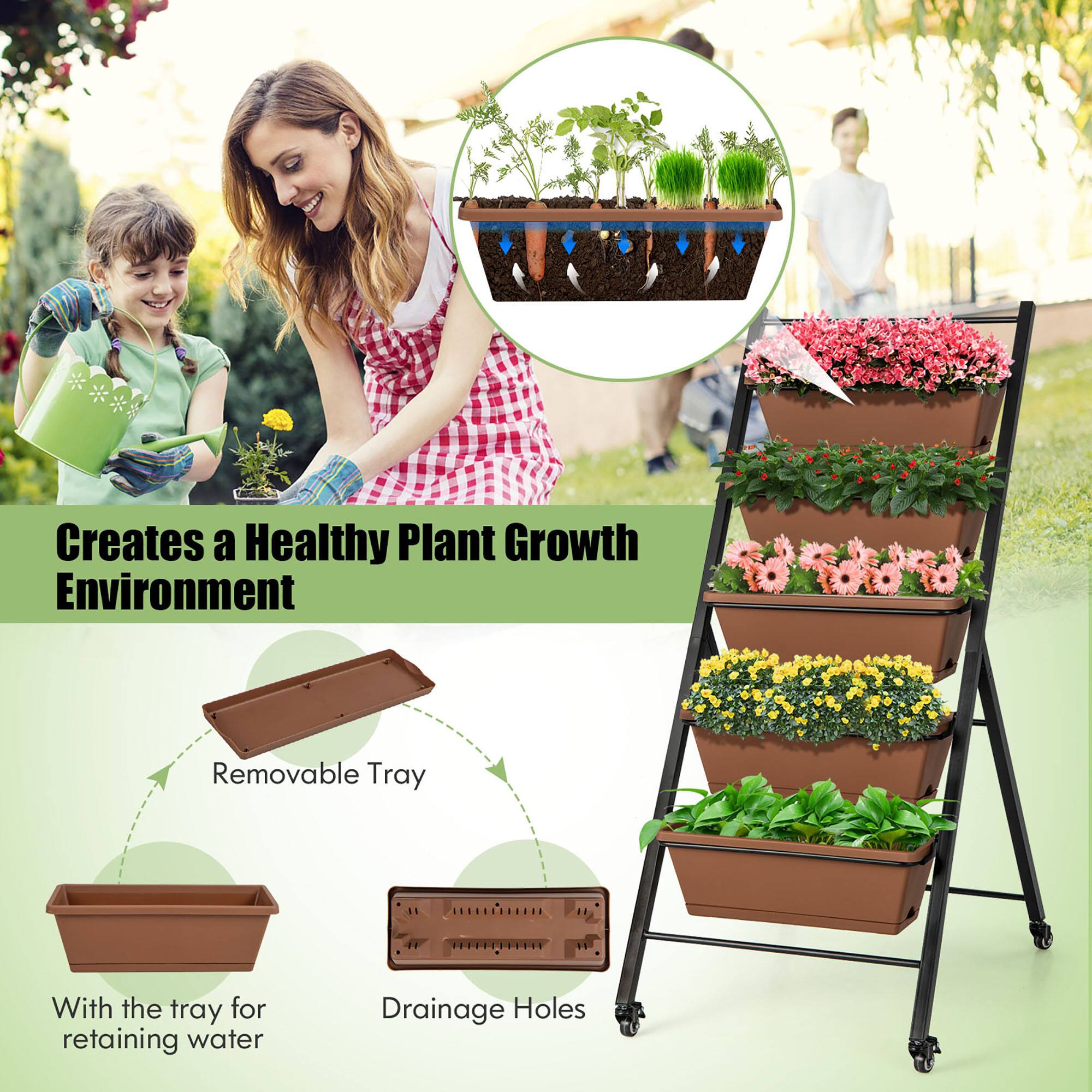 Creates a Healthy Plant Growth Environment: Removable Tray with Drainage Holes