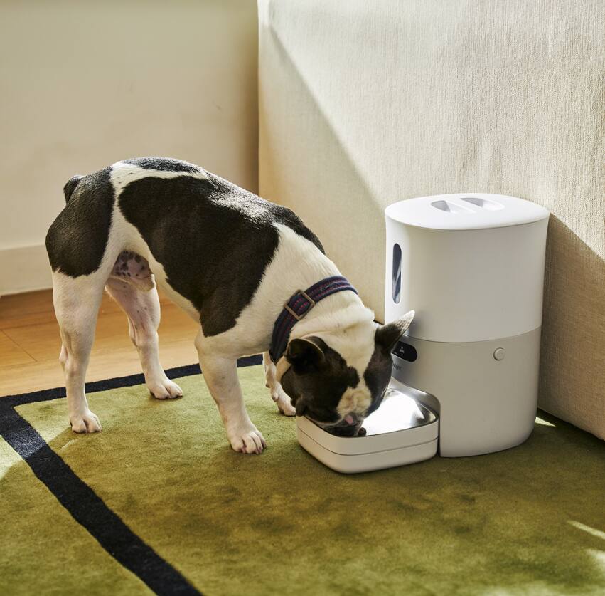 Alt View 7. PawSync - Automatic Pet Feeder - White.