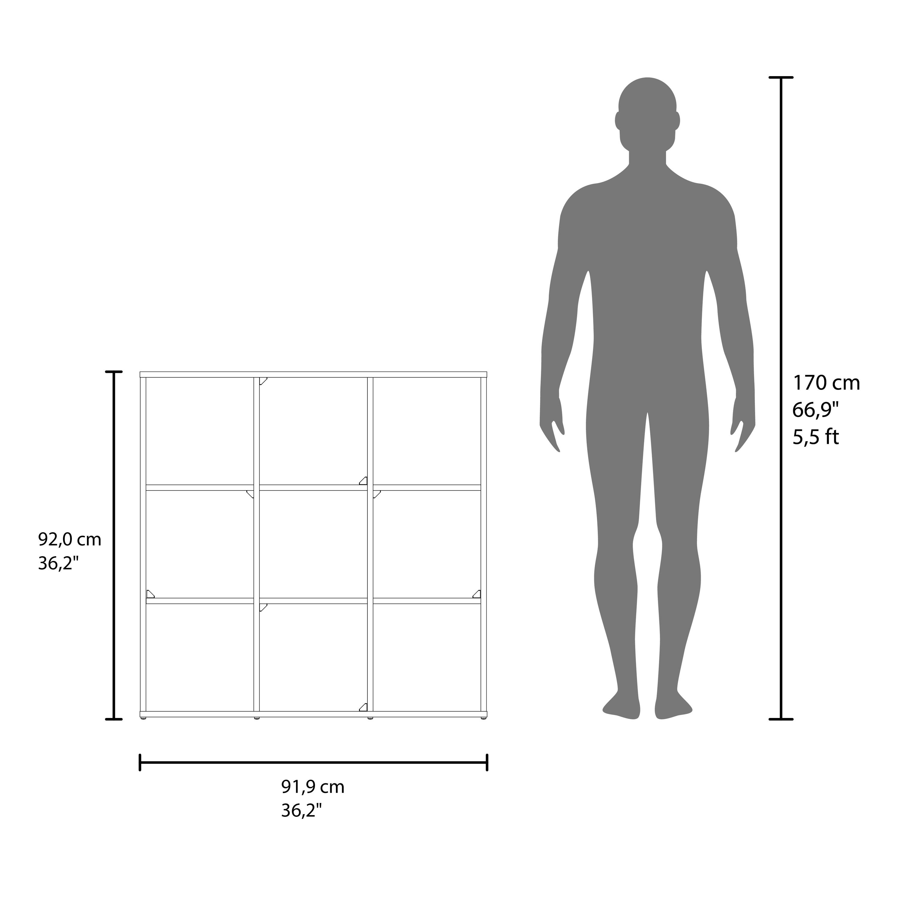 170 cm 66,9" 5,5ft

92,0 cm 36,2"

91,9 cm 36,2"