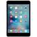 Front. Apple - Certified Refurbished iPad Mini (4th Generation) (2015) - 16GB - Space Gray.