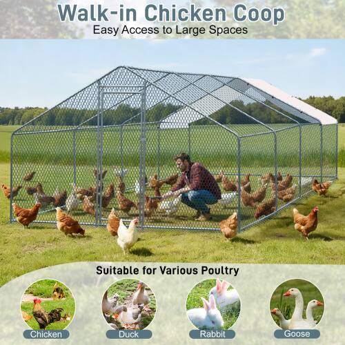 Walk-in Chicken Coop  
Easy Access to Large Spaces  

Suitable for Various Poultry  
- Chicken  
- Duck  
- Rabbit  
- Goose