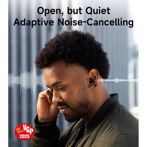 Open, but Quiet Adaptive Noise-Cancelling

VGP "style 2025"