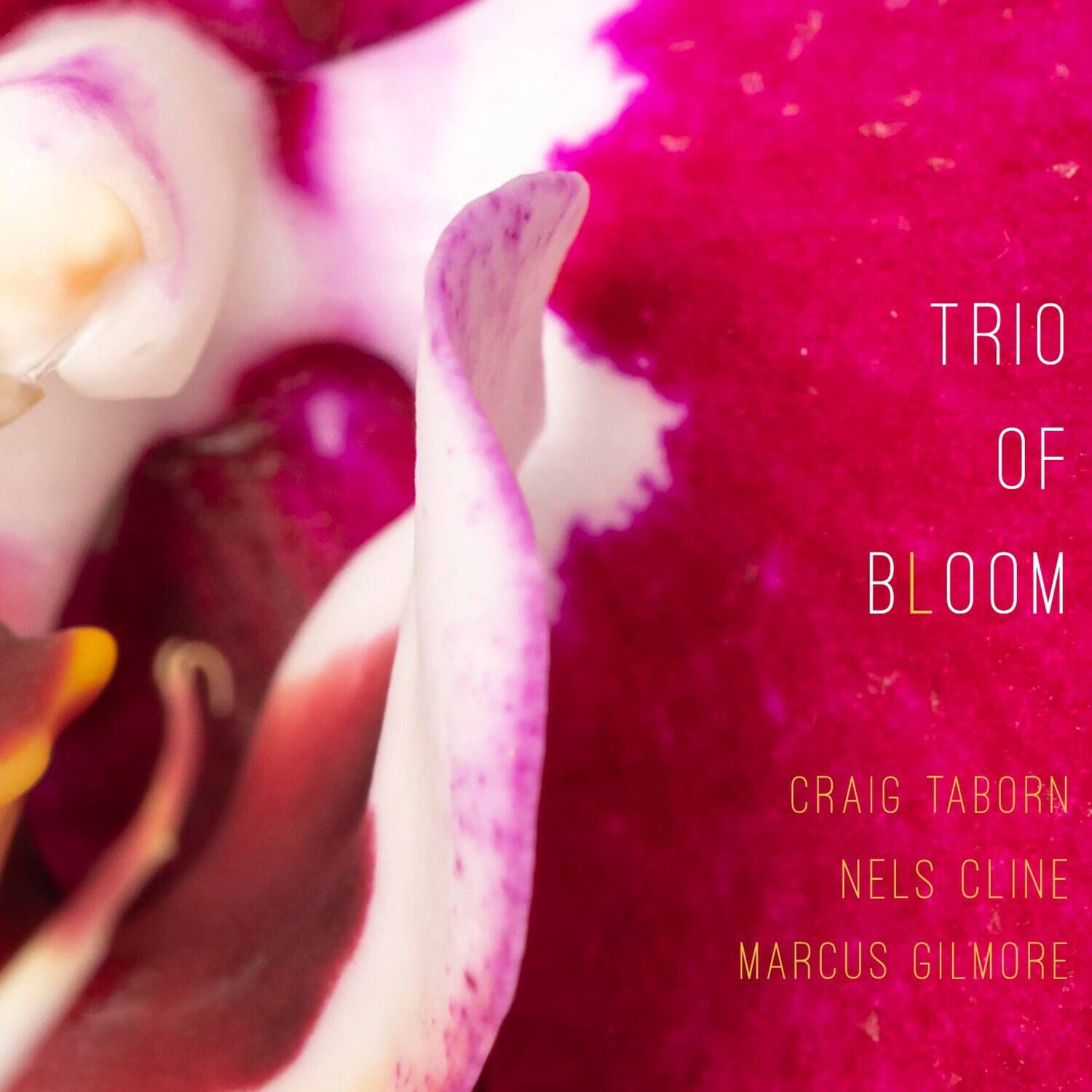 Trio of Bloom - Trio Of Bloom   - COMPACT DISCS [CD]