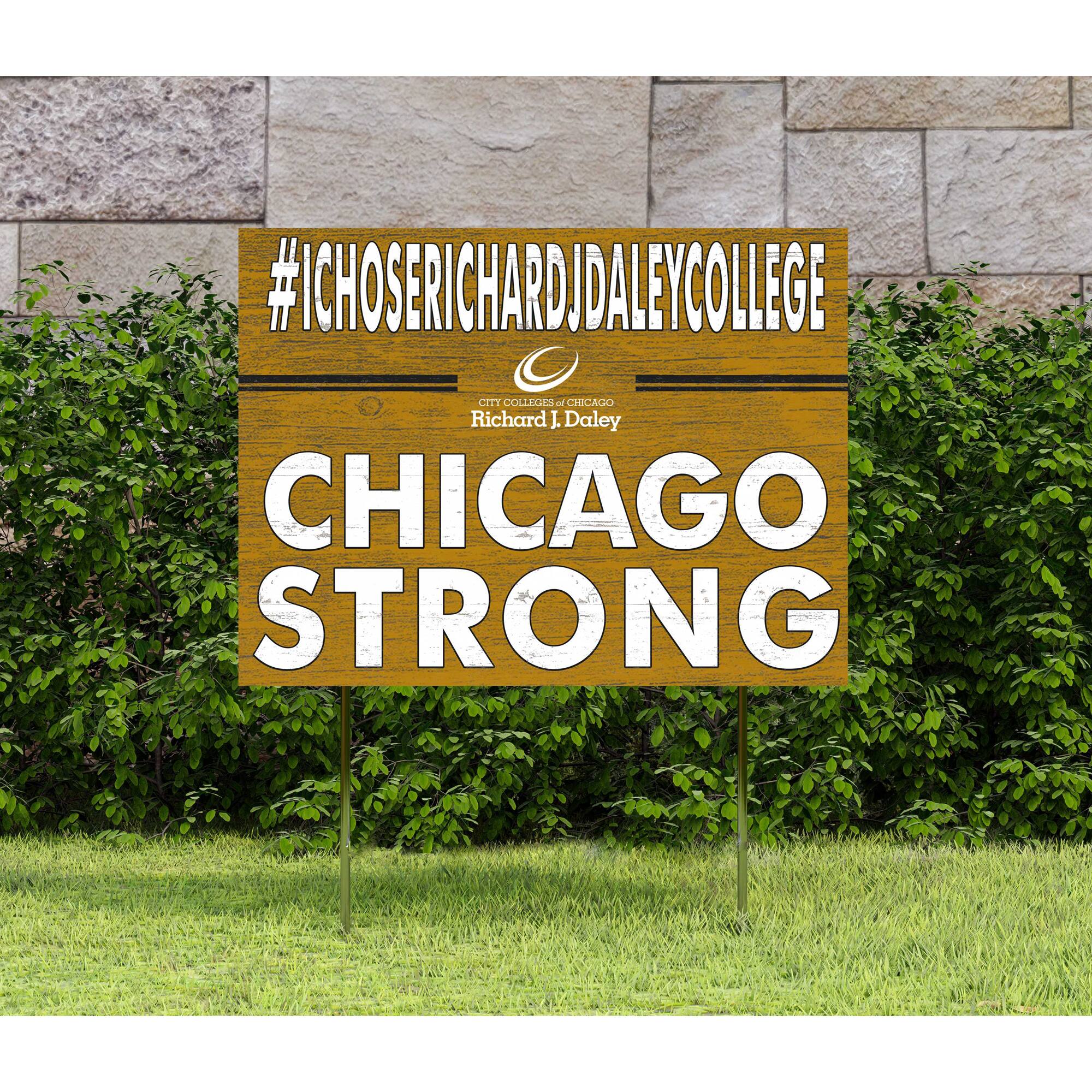 #ICHOSERICHARDJDALEYCOLLEGE  
CITY COLLEGE OF CHICAGO  
Richard J. Daley  
CHICAGO STRONG