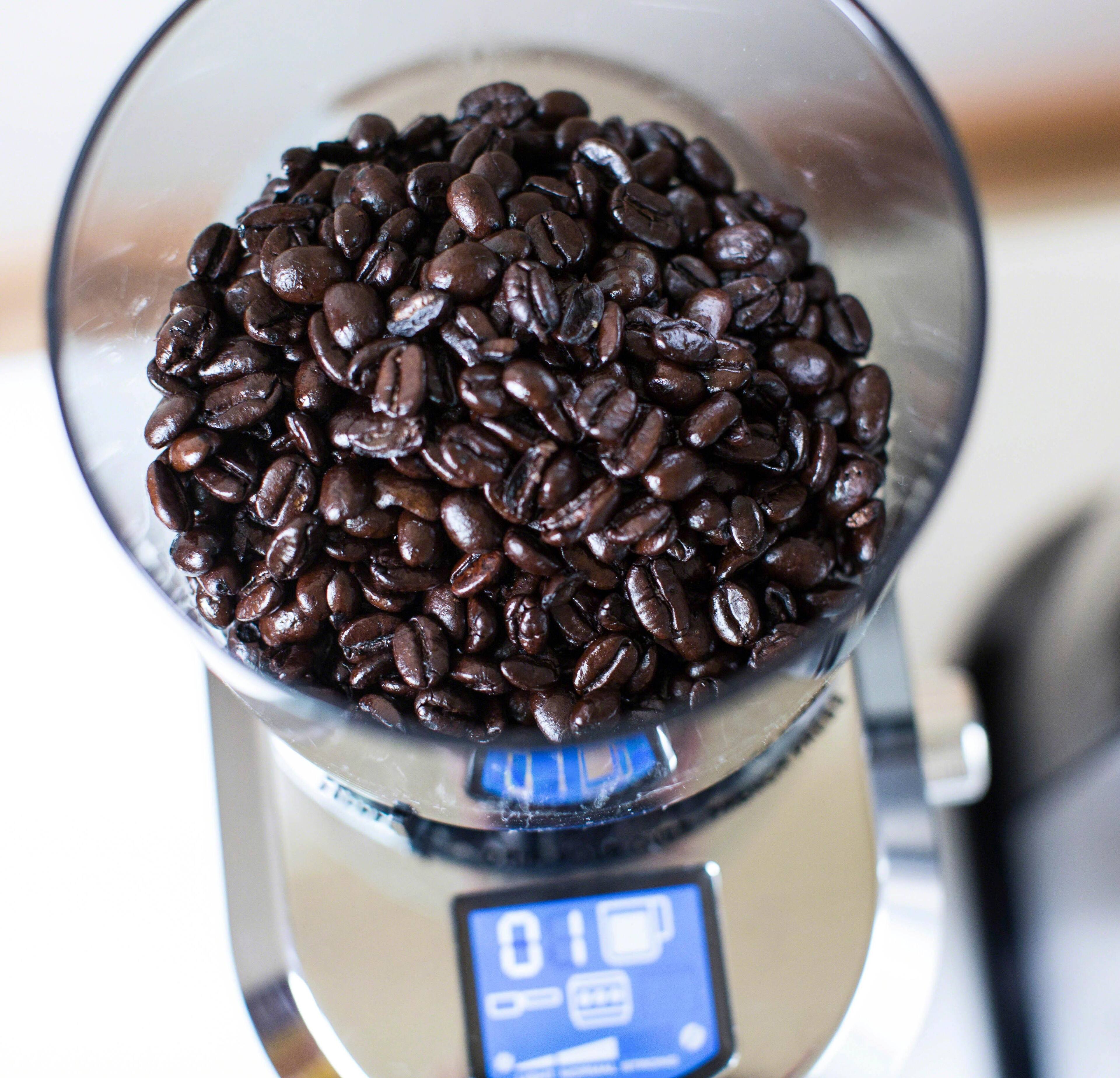 Alt View 12. De'Longhi - Dedica 14-Cup Coffee Grinder - Stainless Steel.