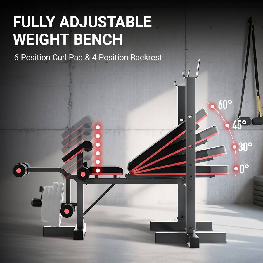 FULLY ADJUSTABLE WEIGHT BENCH  
6-Position Curl Pad & 4-Position Backrest  
60° 45° 30° 0°
