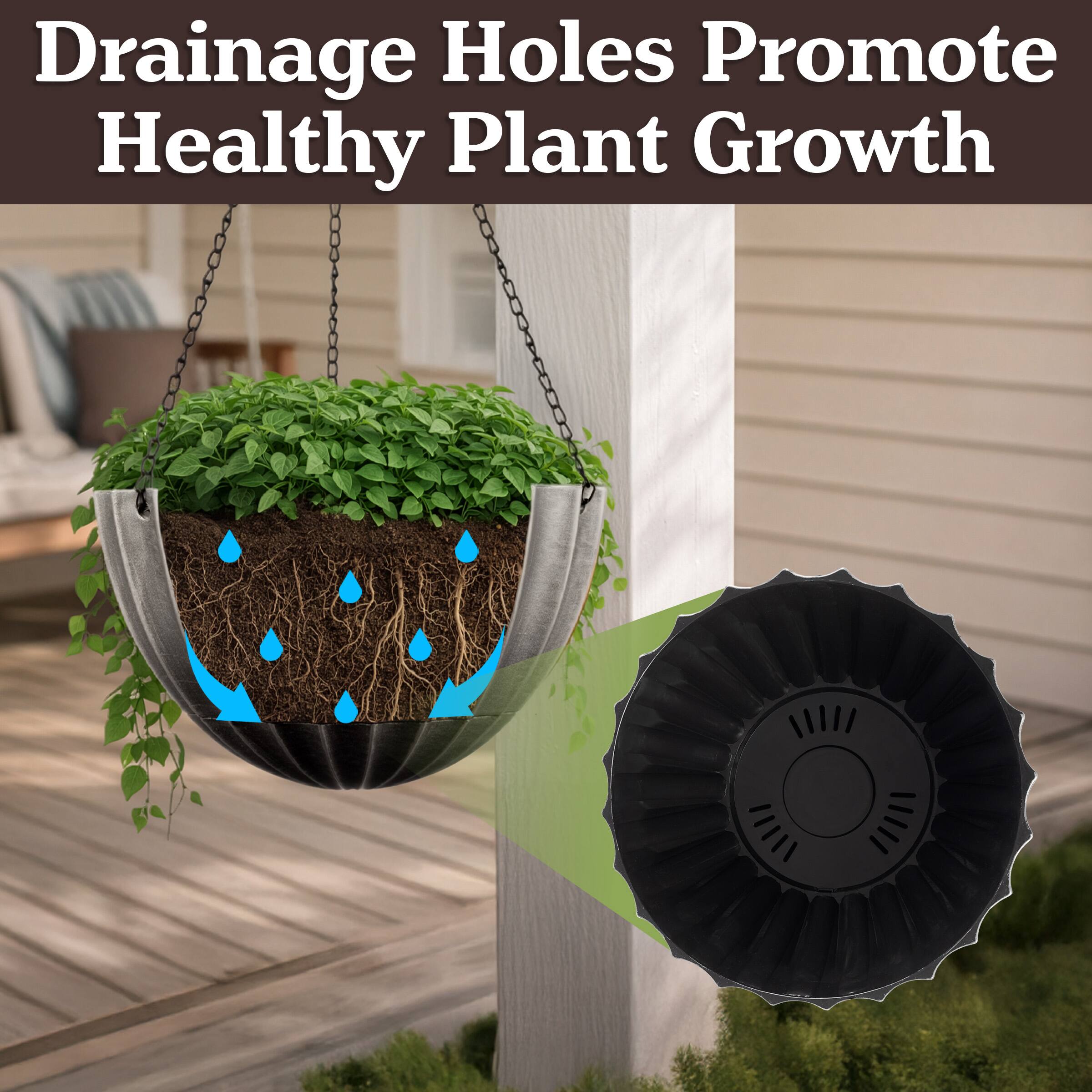Drainage Holes Promote Healthy Plant Growth