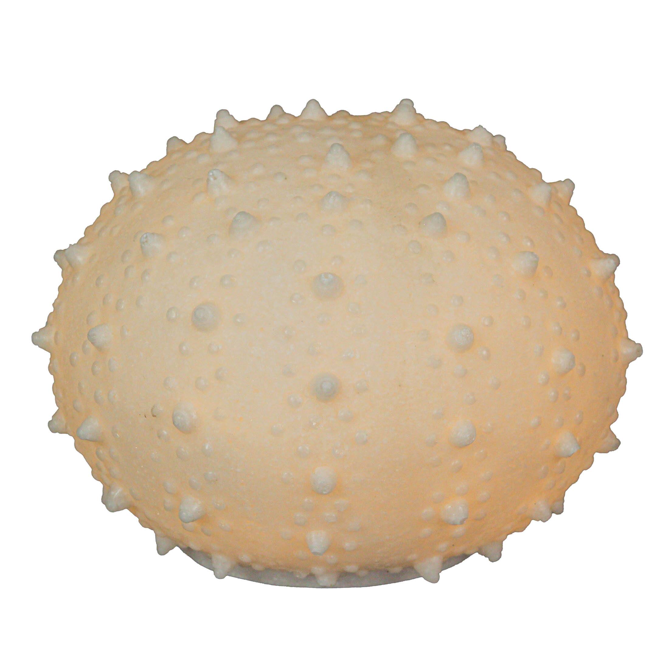 Alt View 6. Contrast Inc. - 7 Inch Resin LED Sea Urchin Accent Lamp Decorative Sea Table Light Nautical Home Decor - White.