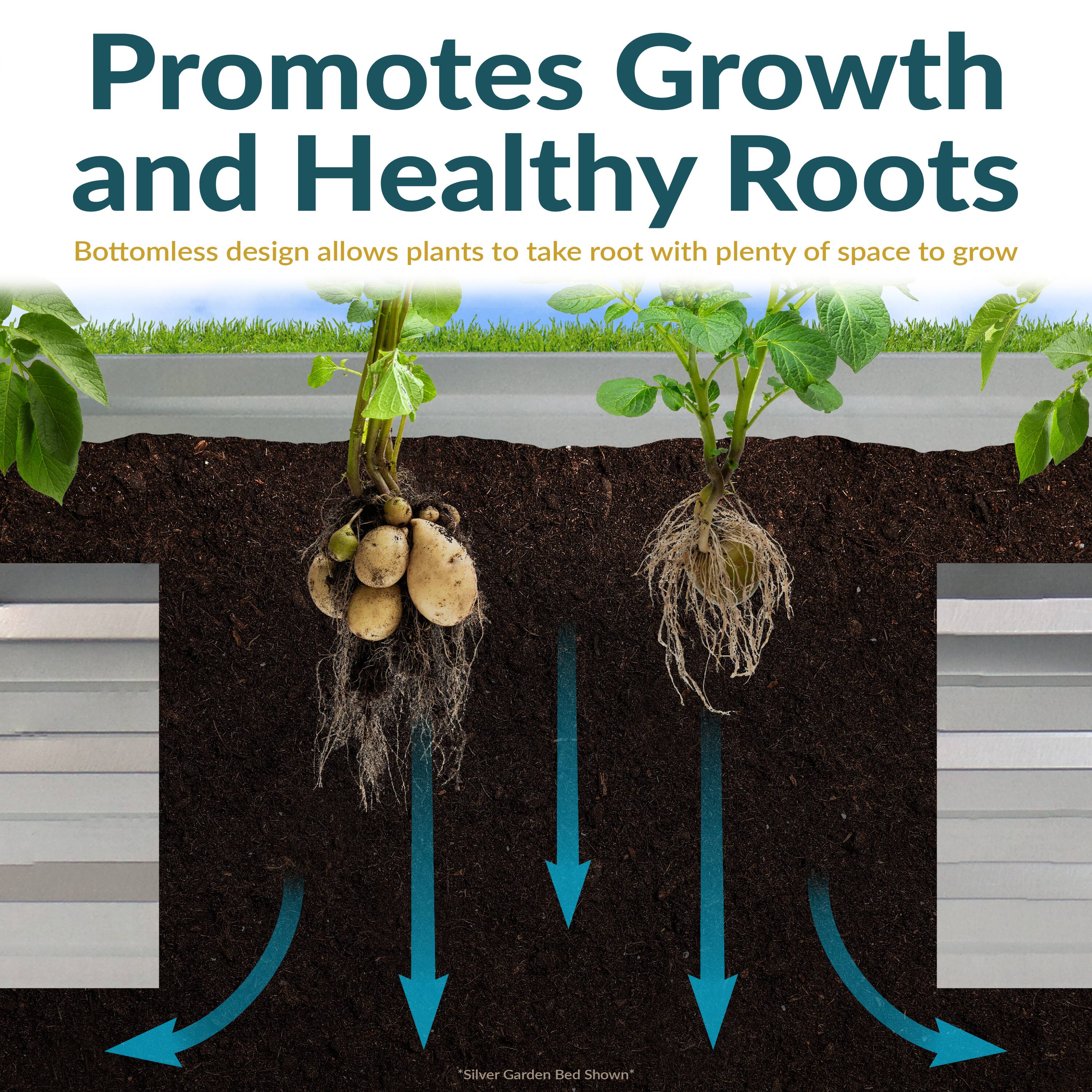 Promotes Growth and Healthy Roots

Bottomless design allows plants to take root with plenty of space to grow

*Silver Garden Bed Shown*