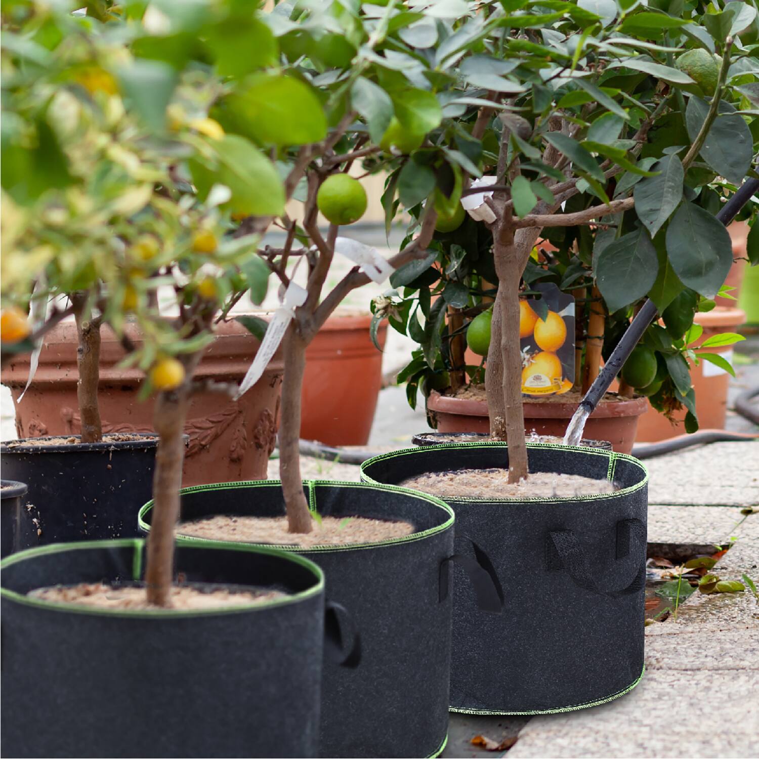 Angle. Garnen - 5 Packs 20 Gallon Nonwoven Fabric Grow Bags with Handles, Thicken Garden Grow Bags for Outdoor and Indoor Planters - Black.